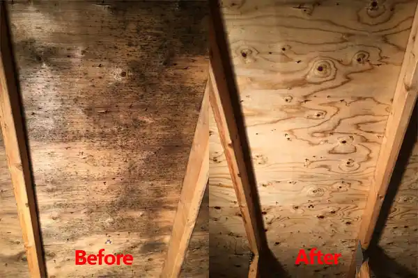 water damage restoration service Crookston